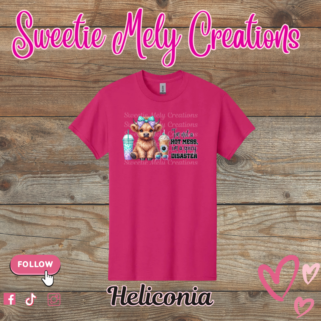 Im not a Hot Mess... Shirt