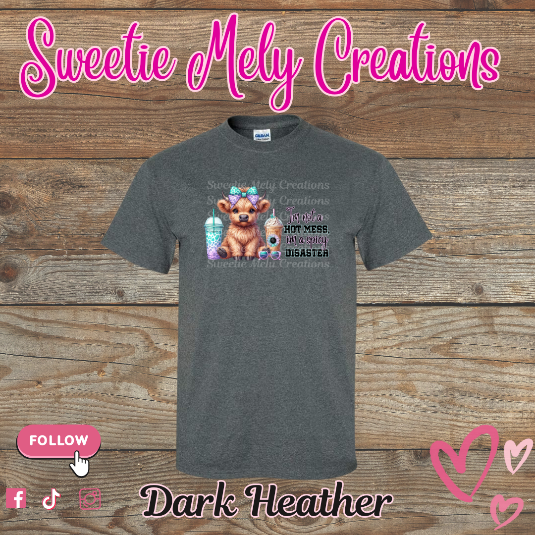 Im not a Hot Mess... Shirt