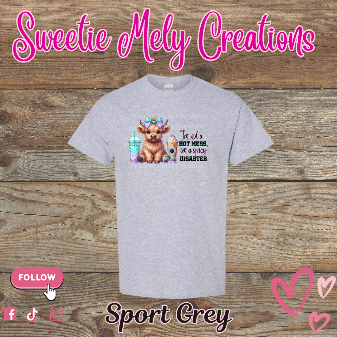 Im not a Hot Mess... Shirt