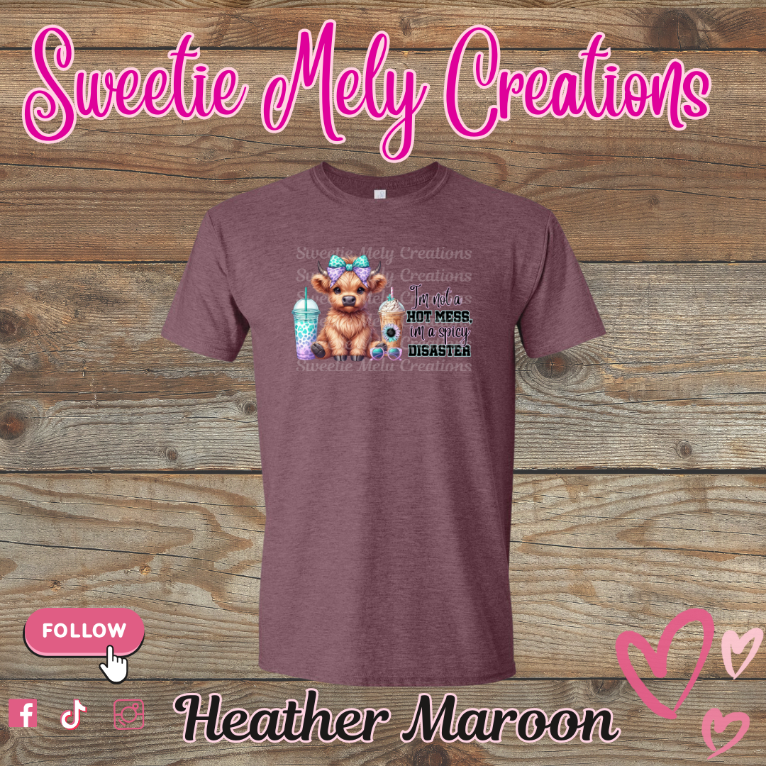 Im not a Hot Mess... Shirt