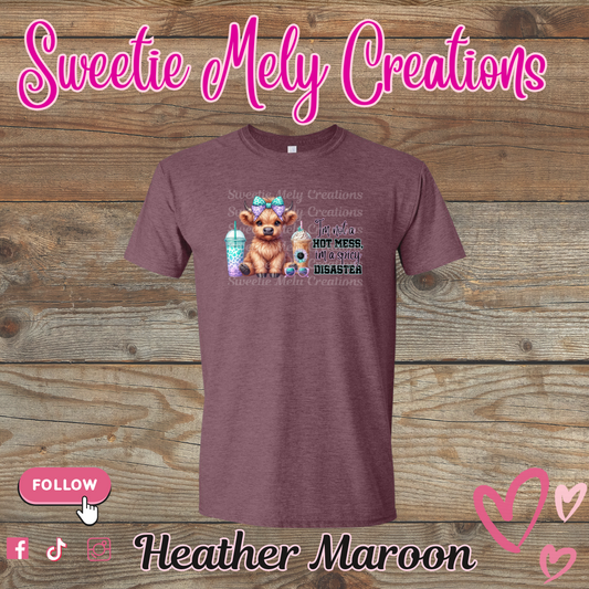 Im not a Hot Mess... Shirt