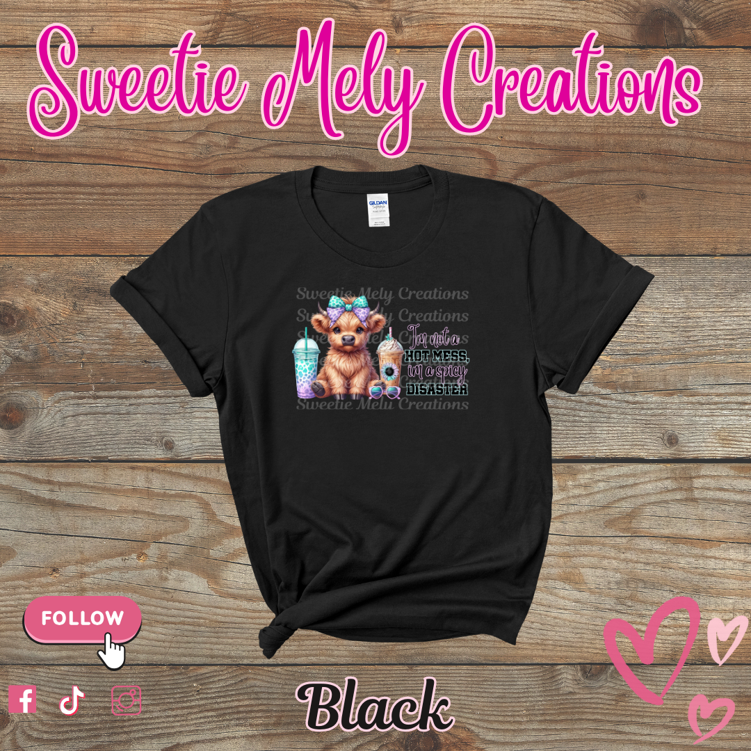 Im not a Hot Mess... Shirt