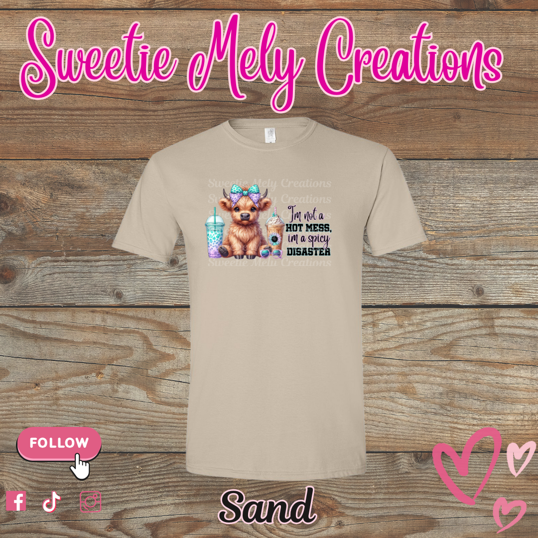 Im not a Hot Mess... Shirt