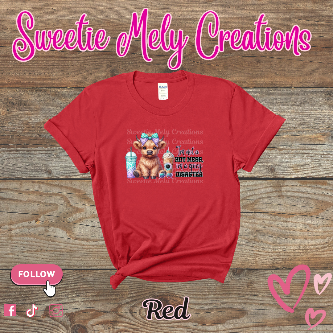 Im not a Hot Mess... Shirt