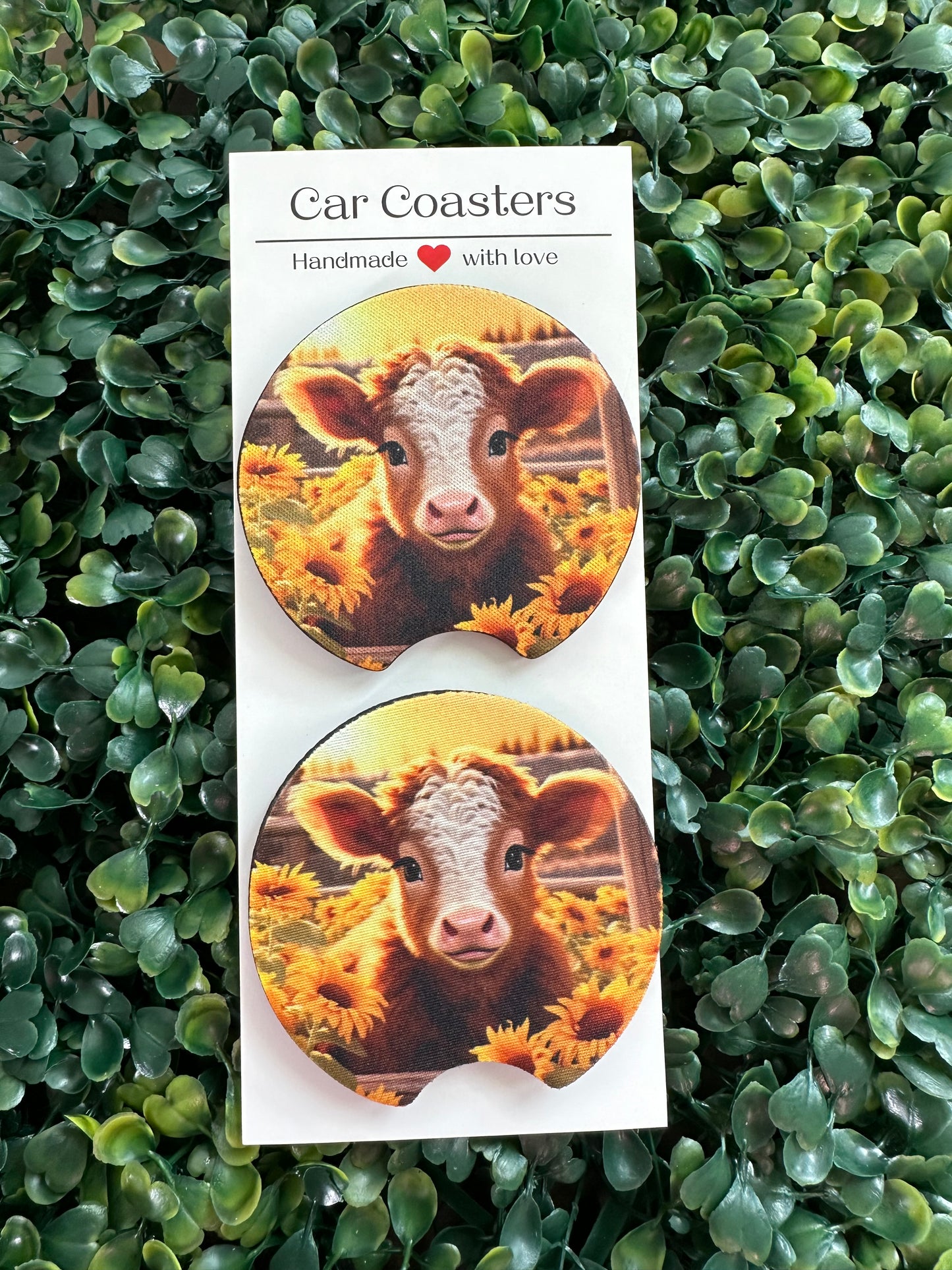 Cow Car Coaster