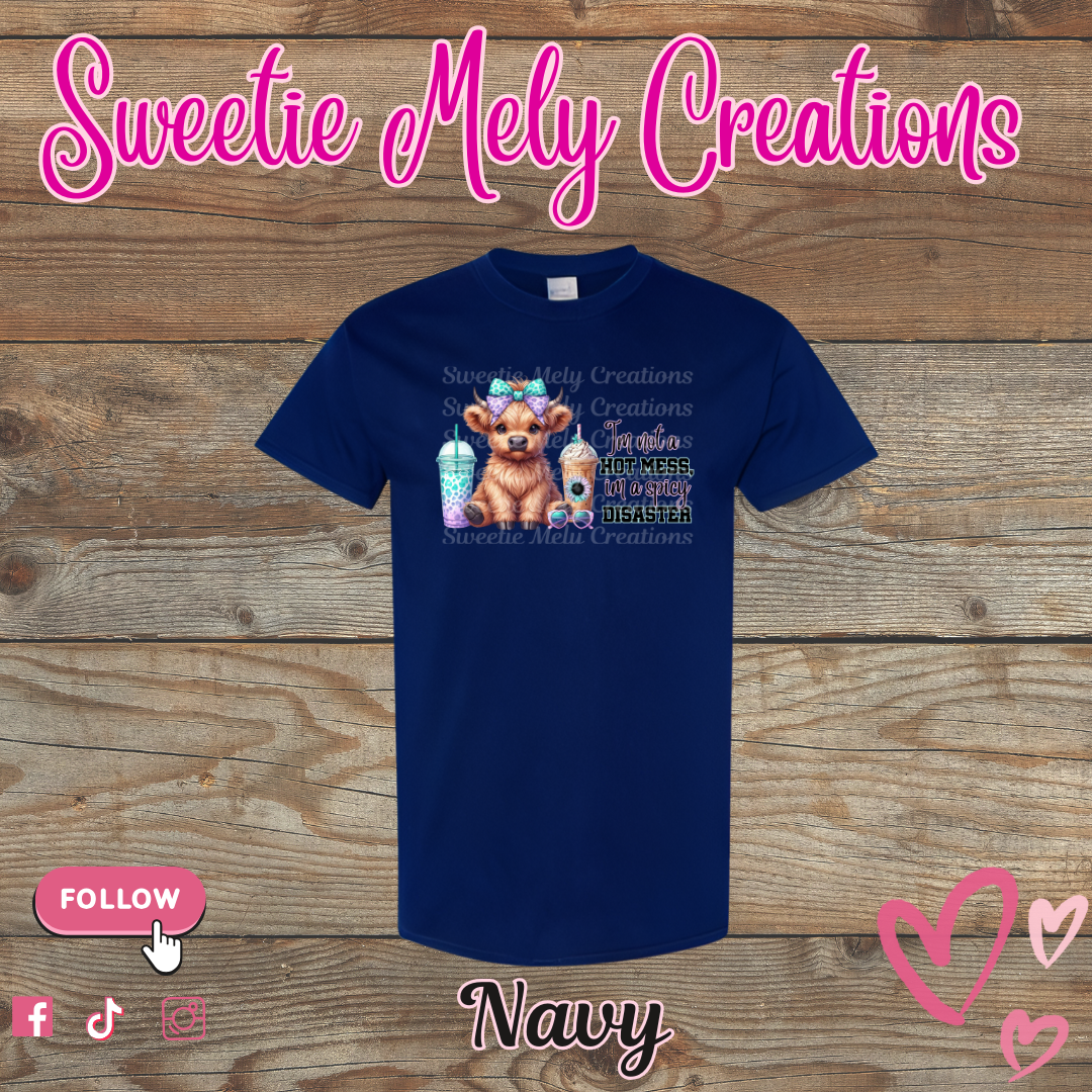 Im not a Hot Mess... Shirt