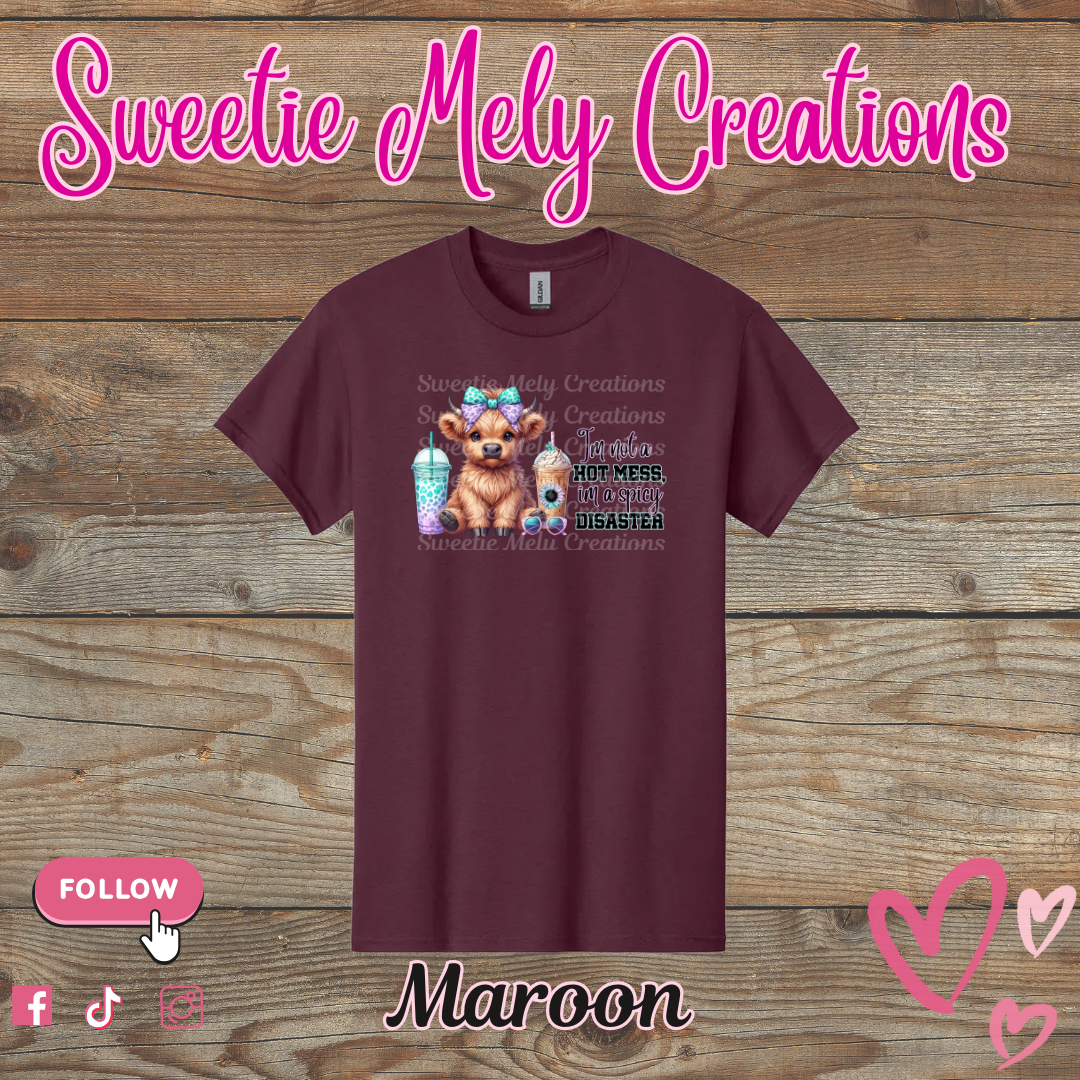 Im not a Hot Mess... Shirt