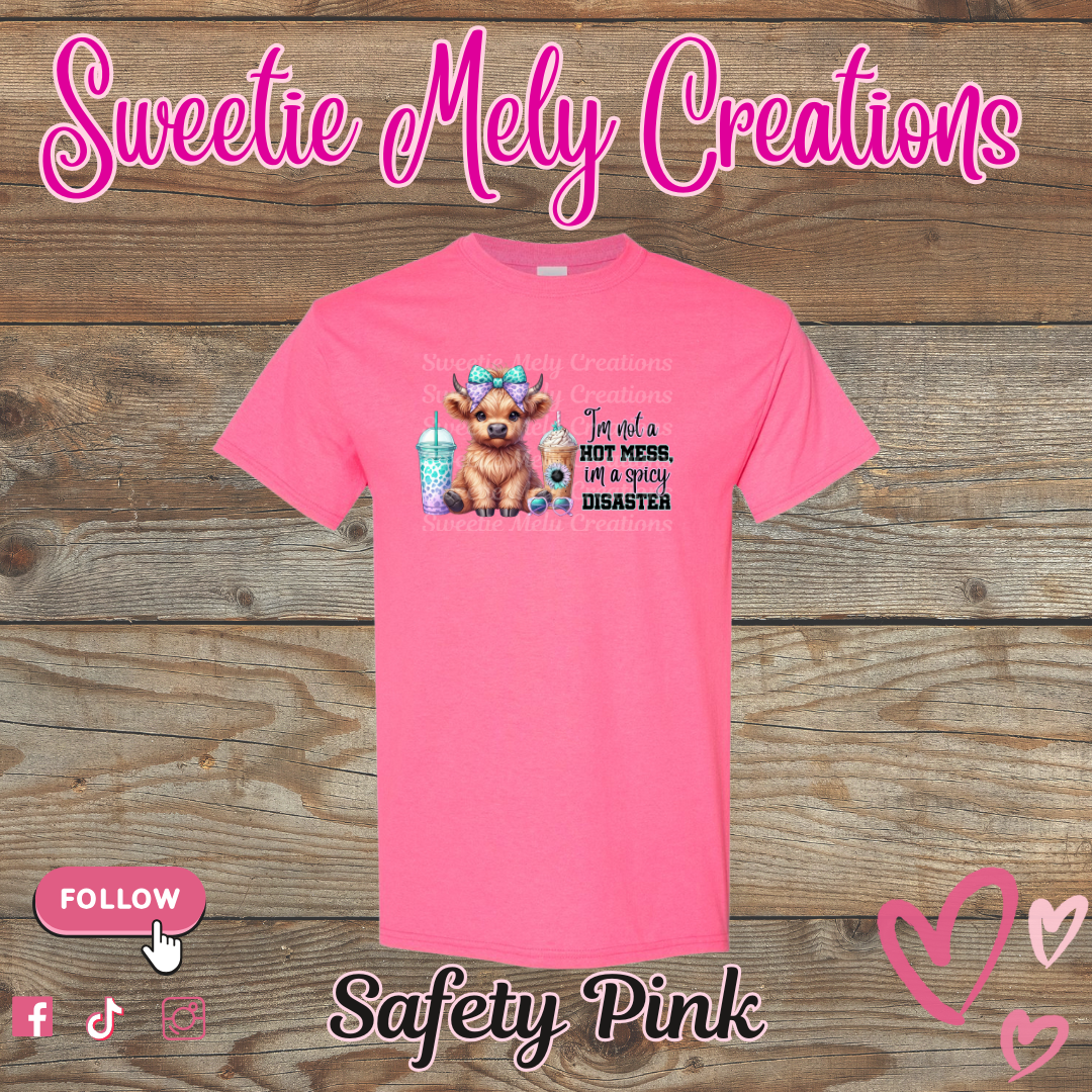 Im not a Hot Mess... Shirt